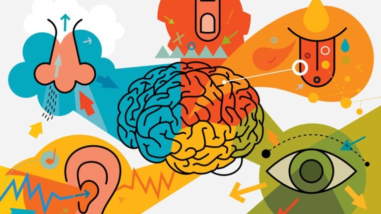 How to Leverage Multisensory Experiences in Packaging Design